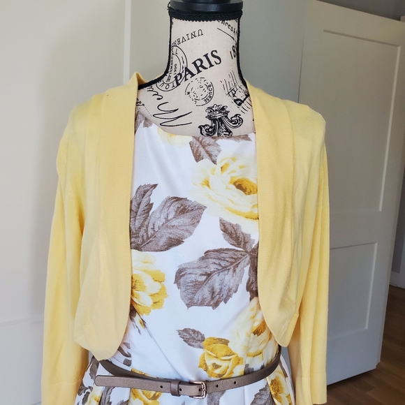 Gorgeous Jessica Howard Spring Dress - Picture 3 of 9